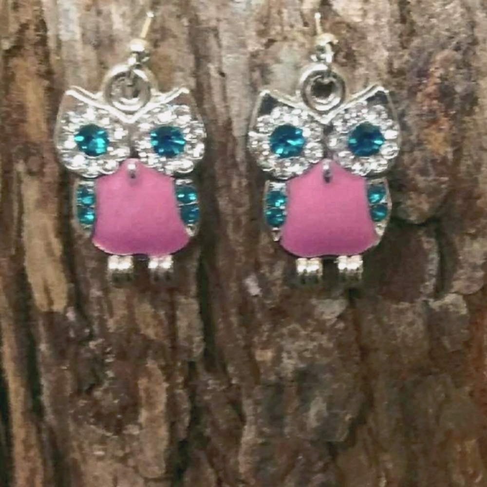 Pink & Turquoise Owl Earrings